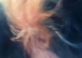This huge cock is going to go straight into the asshole of a dog