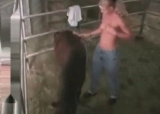Farm animality XXX looks amazingly sweet