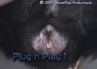Animal likes dirty anal sex