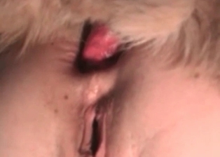 Wonderful hussy poked by pup