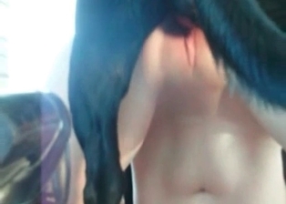Mongrel and kinky babe enjoy bestiality sex