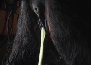 Anal action with my awesome stallion