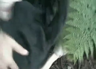 Outdoor sex with a hot tyke