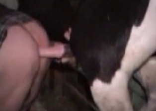 Nice horse drilled by tattooed ass