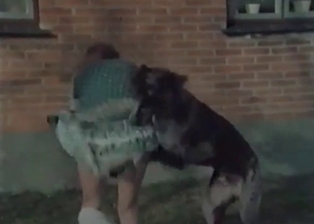 Lovely woman pumped by dog