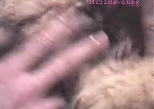 German dog likes hardcore bestiality sex