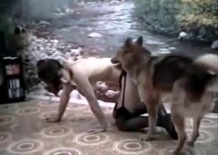 Dog slut pink pussy fucked by dog