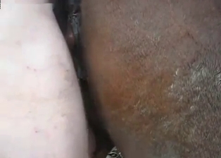Mare ass looks fuckable