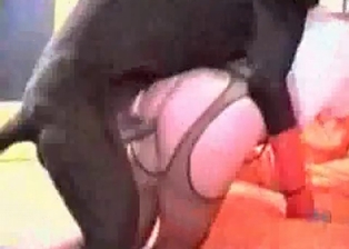 Dog cums inside of her snatch